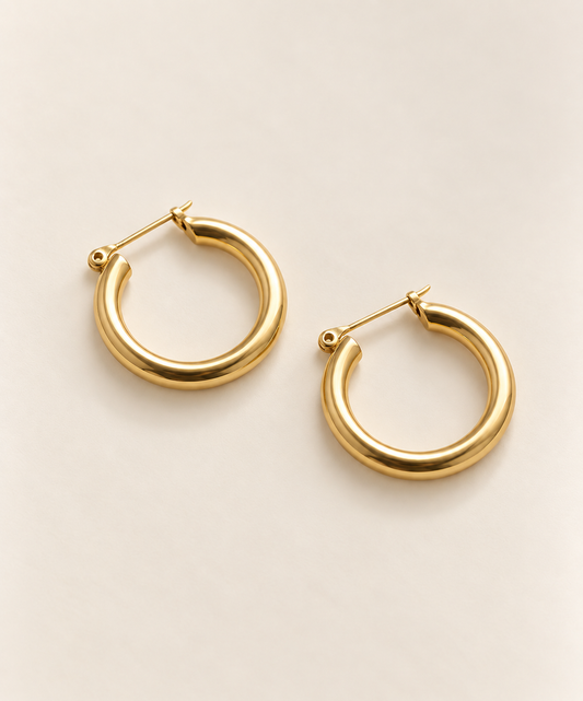 Naomi - PVD Gold Plated Earrings